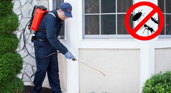 Bandırma Böcek İlaçlama böcek ilaçlama ve haşere kontrolü — ilaclama-tr.com